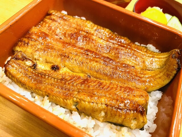 宮川本廛 大丸札幌店 宮川本店 みやがわほんてん 札幌 jr うなぎ 食べログ 宮川本廛 大丸札幌店 宮川本店 みやがわほんてん 札幌 jr うなぎ 食べログ