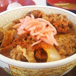 すき家 - 並牛丼サラ玉ランチ500円 