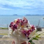 道の駅 みつ シーサイドレストラン 魚菜屋 - ブルーベリーのかき氷＋練乳/650円