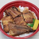 Shimizuya Washoku Unagi Enkai - 