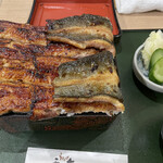 Unagi Kazutomo - 