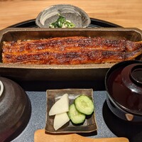 うなぎ四代目菊川 ミッドランドスクエア 名古屋本店 - 