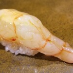 鮨匠 のむら - (17)波管髭海老【ナミクダヒゲエビ】(鹿児島県錦江湾産、210m)
      産卵期は夏～秋、旬も夏～秋
      しかし、通年味わいが落ちない
      ご当地のスペシャルなネタで、甘海老よりも甘く複雑なコクと海老特有の旨み