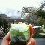 霧の森菓子工房 - 2010.04.15