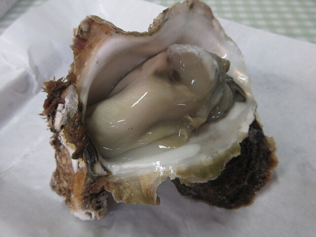 Kaneki Sasaki Shoten