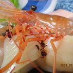 ダイマル大谷会館 - 