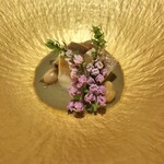 難波 鮨 よこ田 - 鮨と天冨良【特上】会席17600円