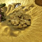 難波 鮨 よこ田 - 鮨と天冨良【特上】会席17600円