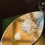 福松荘 - しらす～～