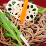 つけ鴨うどん 鴨錦 - 