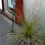 田中の中華そば - 