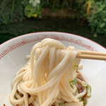 池内うどん店 - 