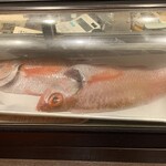 う越貞 - 本日入荷したノドグロ
