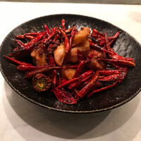 CINA New Modern Chinese - 