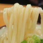 Sanuki Udon Yamato - 