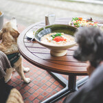 Tsurutontan Udon Noodle Brasserie Karuizawa Japan