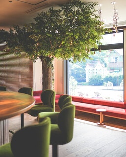 つるとんたん UDON NOODLE Brasserie - 