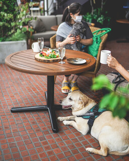 つるとんたん UDON NOODLE Brasserie - 