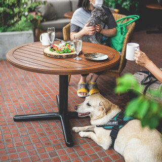 Eating with your dog. We also have meals for dogs!