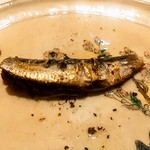 鮓 きずな - イワシオイルサーディン