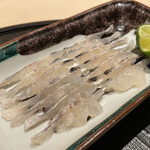 新ばし 星野 - 鱧