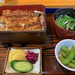 Ikiunagi - 