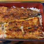 Ikiunagi - 