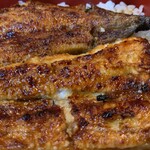 Ikiunagi - 