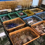 漁師の直売店 浜の母さん食事処 - これも全て売り物です