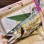 宵ノねこ - 天然鮎(郡上)