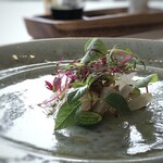 MAISON LAFITE - ◆メイチダイ（玄海灘）、ネクタリン（桃の一種）、マイクロ胡瓜、ナッツ