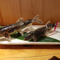 柳家錦 - 