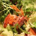 やさい村大地 本店 - 