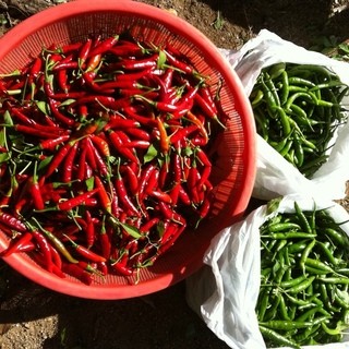 韓国料理 新村_2