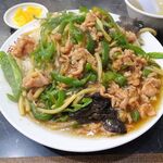 中国料理 登龍 - 青椒飯（大盛）830円