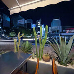 タコファナティコ - 