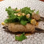 カモシヤ クスモト - 