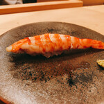 木挽町 とも樹 - 江戸前の車海老のにぎり