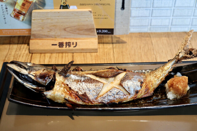 産直さばと青魚 伏見あおい 伏見 居酒屋 ネット予約可 食べログ 産直さばと青魚 伏見あおい 伏見 居酒屋 ネット予約可 食べログ