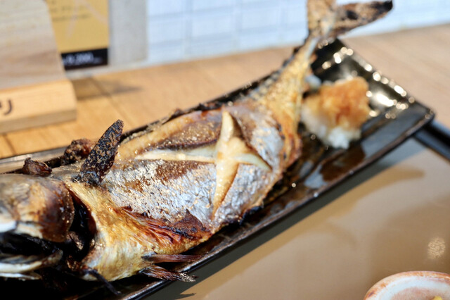 産直さばと青魚 伏見あおい 伏見 居酒屋 ネット予約可 食べログ 産直さばと青魚 伏見あおい 伏見 居酒屋 ネット予約可 食べログ