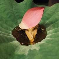 にくの匠 三芳 - 