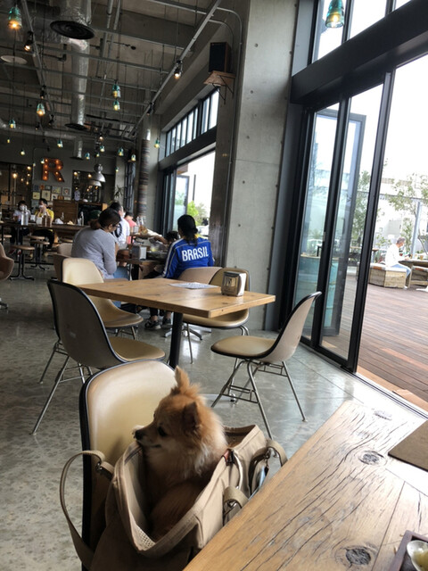 Trex Kawasaki River Cafe 小島新田 カフェ ネット予約可 食べログ Trex Kawasaki River Cafe 小島新田 カフェ ネット予約可 食べログ