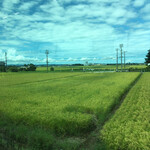 ラーメン二郎 - 新潟米の田園風景が続く　