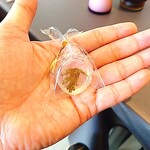 プレゼンテ スギ - 