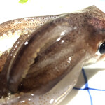 活魚料理 いか清 - 