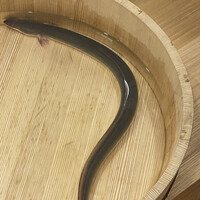 三宅輝 - 