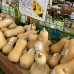 四季菜 - 