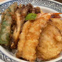 天冨良 天孝 -  天冨良 天孝 -