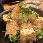 瀬戸海人 - 島豆腐の厚揚げ