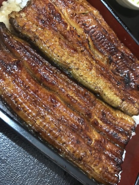 うなぎ二葉 うなぎ ふたば 東本願寺前 うなぎ 食べログ うなぎ二葉 うなぎ ふたば 東本願寺前 うなぎ 食べログ